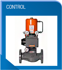 Soluciones en Automatización y Control de Procesos de Flujo